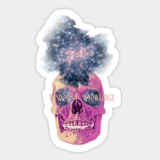 Vaporwave Galaxy Skull Sticker